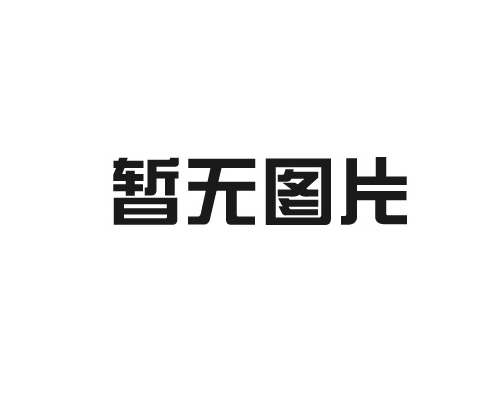 P80318探头
